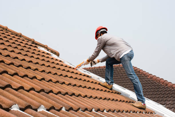 Sheet Metal Roofing in Socorro, NM